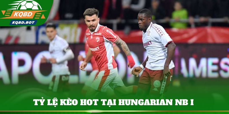 Tỷ lệ kèo hot tại Hungarian NB I